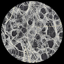 Graphic Products Ogura Lace Paper
