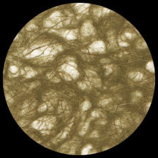 Graphic Products Ogura Lace Paper