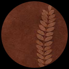 Sun Washed Fern Terra/Sienna