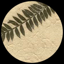 Graphic Products Amala Leaves Oil Paper