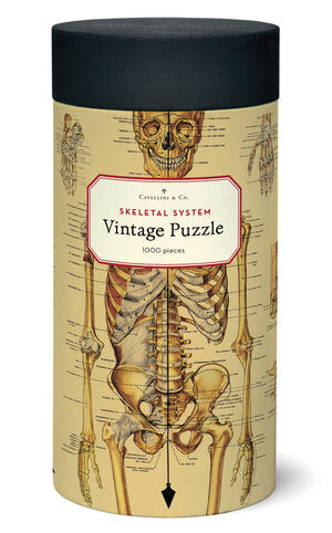 1000 Piece Puzzle  Vintage Inspired Skeletal System