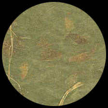 Graphic Products Mango Paper