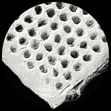 Graphic Products White Honeycomb Paper