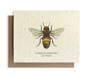 Plantable Greeting Cards Honey Bee