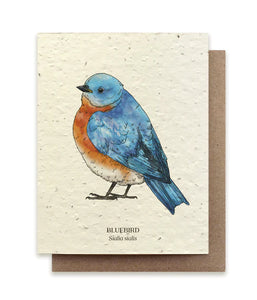 Plantable Greeting Cards Bluebird