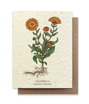 Plantable Greeting Cards Calendula