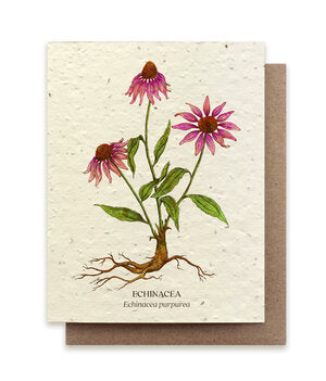 Plantable Greeting Cards Echinacea