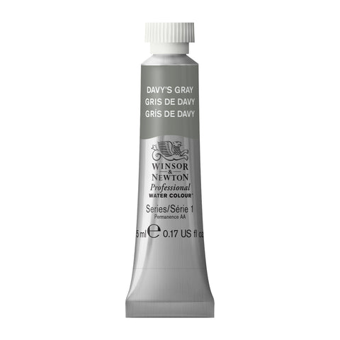 Professional Watercolor 5ml Davy's Gray