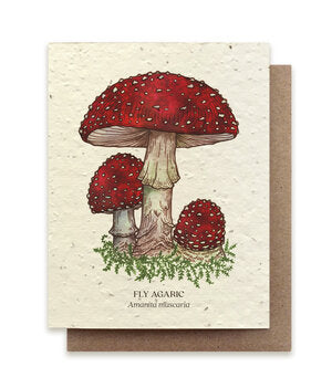 Plantable Greeting Cards Fly Agaric Mushroom