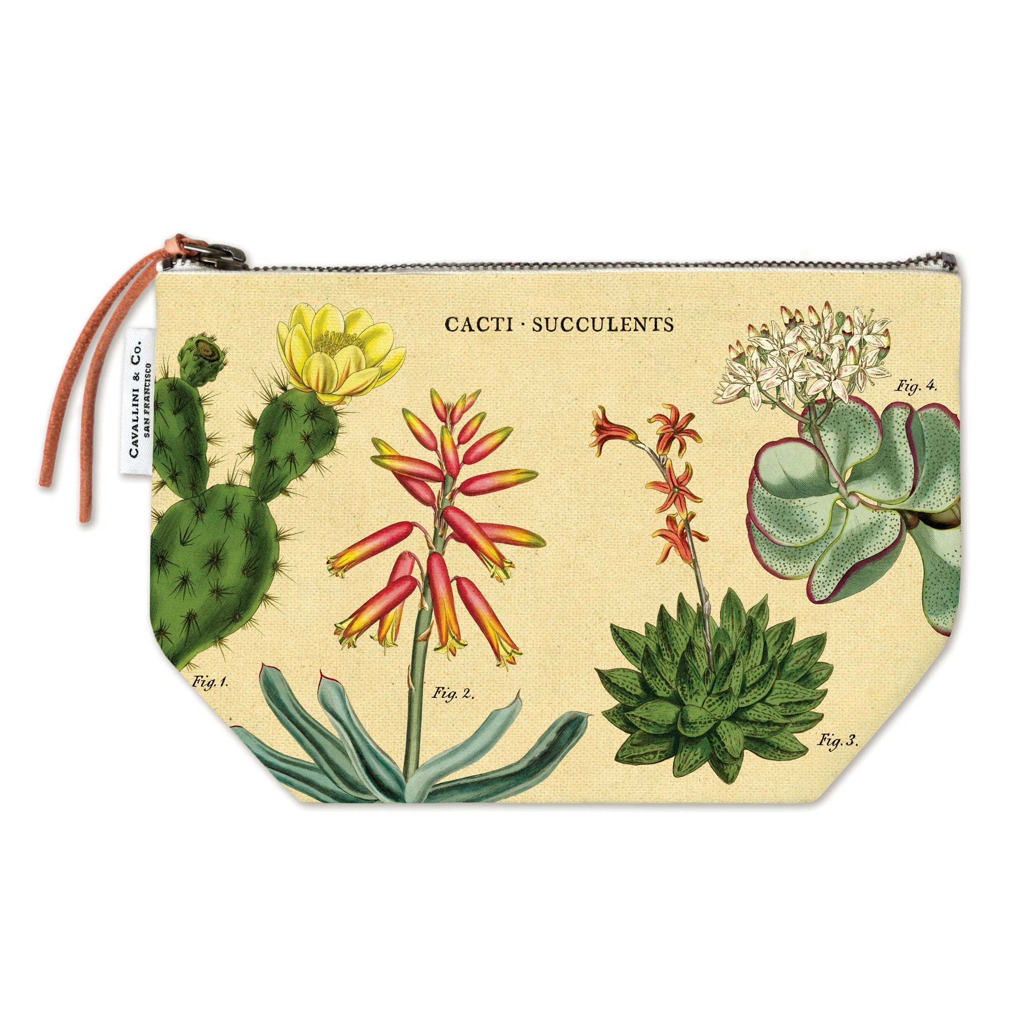Pouch Vintage Inspired Succulents
