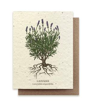 Plantable Greeting Cards Lavender