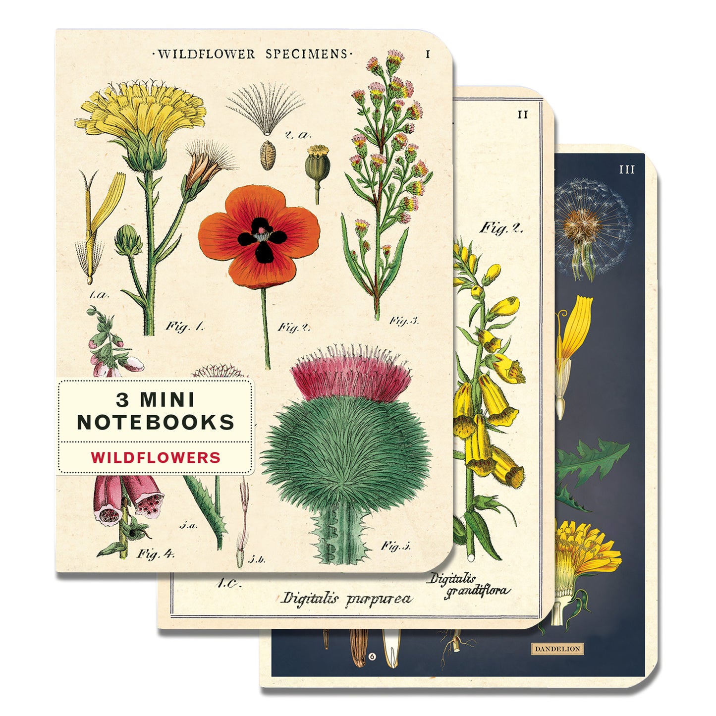Cavallini & Co Vintage Inspired Mini Notebook Sets