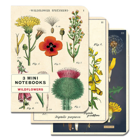 Mini Notebook Wildflowers 3 pack
