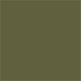 Artist Supracolor Pencil Olive Brown 039