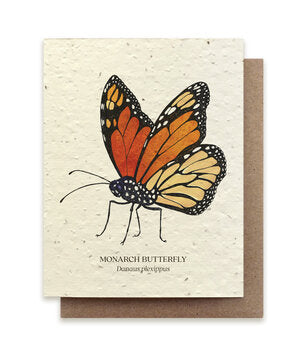 Plantable Greeting Cards Monarch Butterfly