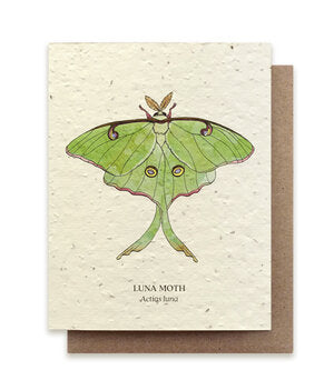 Small Victories Plantable Greeting Cards