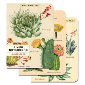 Mini Notebook Succulents 3 pack