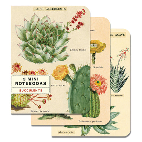 Mini Notebook Succulents 3 pack