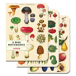 Mini Notebook Fungi 3 pack